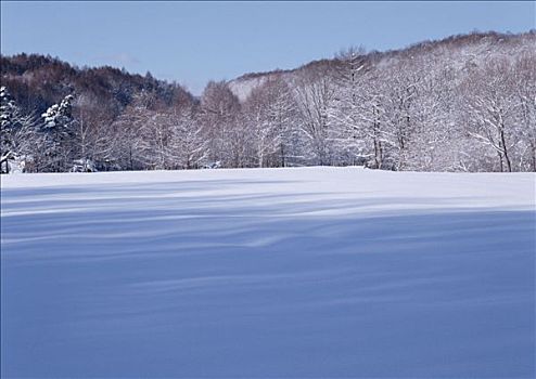 雪地