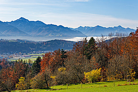 风景,山,靠近,巴伐利亚阿尔卑斯山,齐姆高,上巴伐利亚,巴伐利亚,德国,欧洲