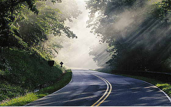 景色,道路