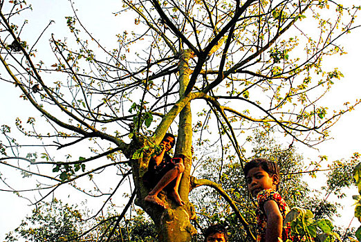 孩子,乐趣,景象,普通,乡村,区域,孟加拉,2009年