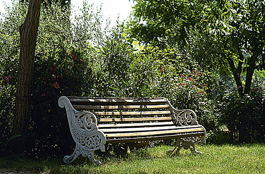 铸铁,木质,长椅,座椅,花园,树下