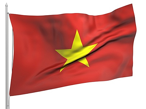 飞,旗帜,越南,国家