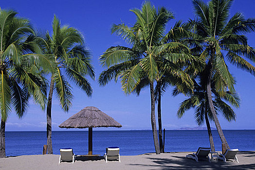 斐济,维提岛,喜来登酒店,别墅,酒店,海滩,椰树,树,稻草,伞