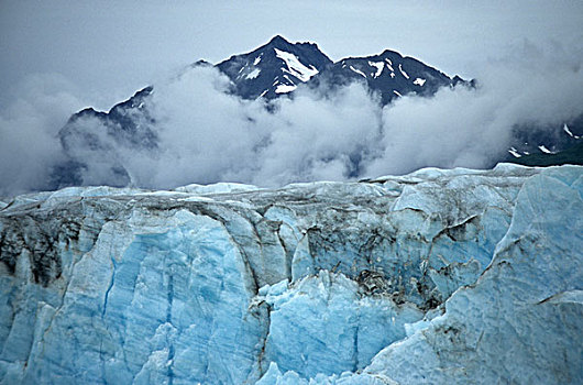 冰河,阿尔西克冰川,湾,国家,保存,阿拉斯加,美国