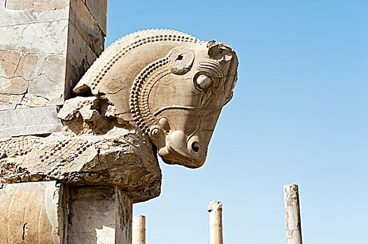 雕塑,头部,100,柱子,古老,城市,波斯波利斯,世界遗产,法尔斯,省,伊朗,亚洲