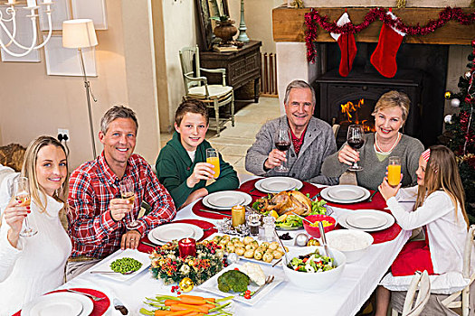 微笑,家庭,祝酒,看镜头,圣诞晚餐