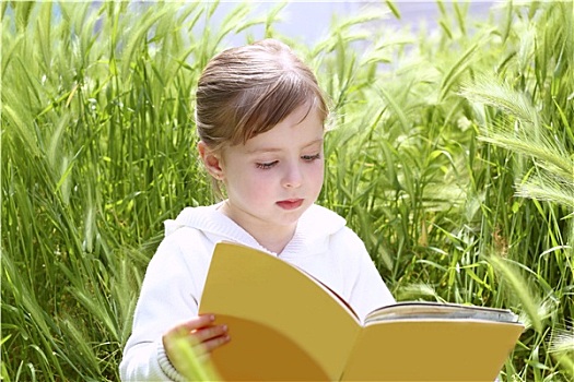 小,金发,女孩,读,书本,绿色,针状物,花园