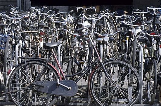 停车位,自行车,靠近,枢纽站,阿姆斯特丹,荷兰