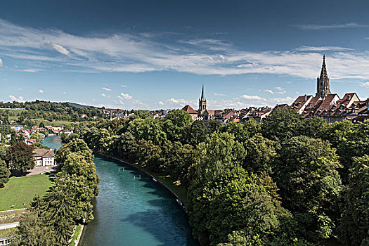 俯视图,树林,河,伯恩,瑞士,欧洲