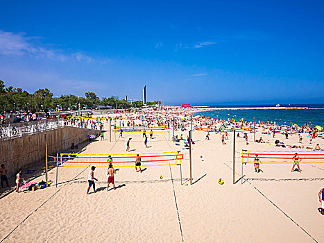 人,拥挤,海滩,排球,奥林匹克港,巴塞罗那,加泰罗尼亚,西班牙,欧洲