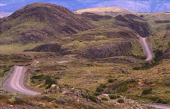 道路,山,乡野,托雷德裴恩国家公园,智利