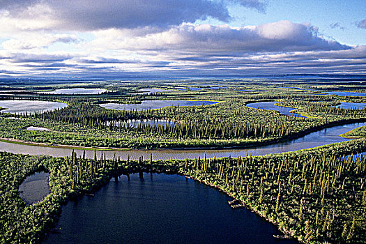 河,三角洲,北极,加拿大