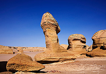 鲸鱼峡谷图片