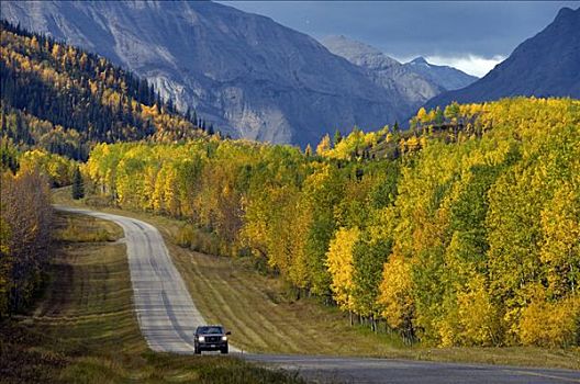交通工具,旅行,公路,彩色,秋天,荒野,北方,落基山脉,不列颠哥伦比亚省,加拿大