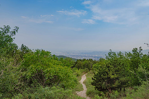 乡间羊肠小道图片图片