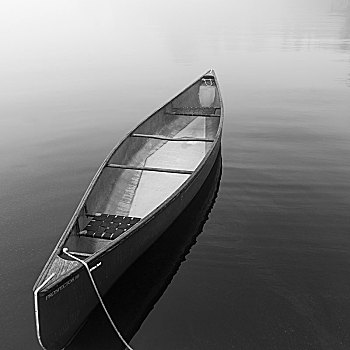 划桨船,停泊,湖,木头,安大略省,加拿大
