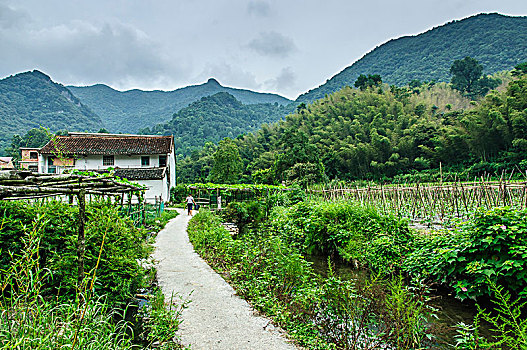 山村风光