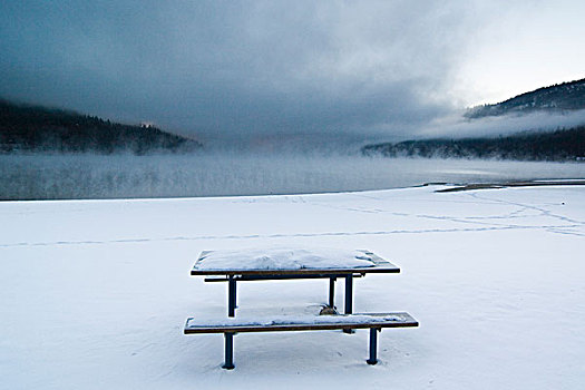 野餐桌,雪,海滩,湖,加利福尼亚