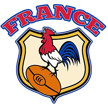法国,橄榄球,公鸡,小公鸡,球