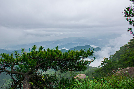 中国安徽安庆天柱山云海松树巨石雨后美景