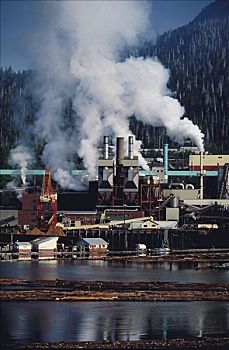 克奇坎,纸浆厂,阿拉斯加
