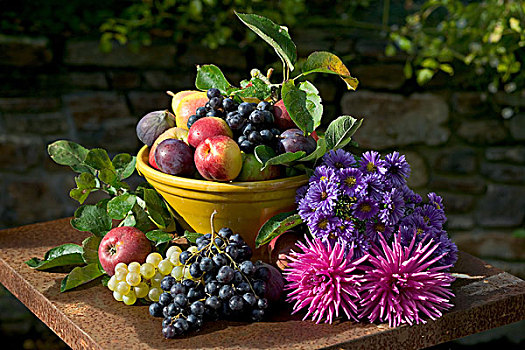 季节,静物,种类,秋天,水果,黄色,碗,紫苑属,大丽花,花