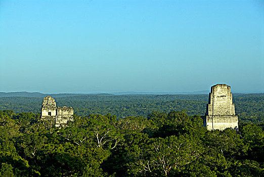 玛雅,古老,毁坏,城市,低地,热带,树林,庙宇,一个,两个,三个,蒂卡尔国家公园,佩登省,危地马拉,中美洲