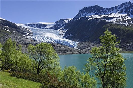 风景,冰河,诺尔兰郡,挪威