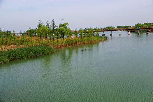 太湖湿地,栈桥