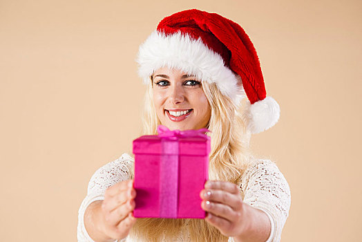 微笑,金发,美女,戴着,圣诞帽,赠送,礼物