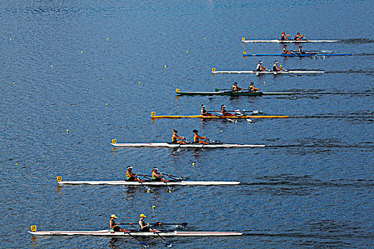 一对,短桨,比赛,杯子,赛舟会,湖,北岛,新西兰