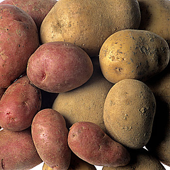 种类,红色,土豆