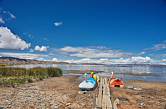 天鹅,踏板船,海滩,玻利维亚,南美