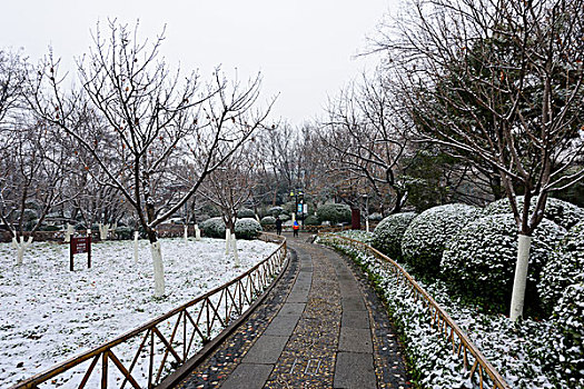 济南五龙潭雪景