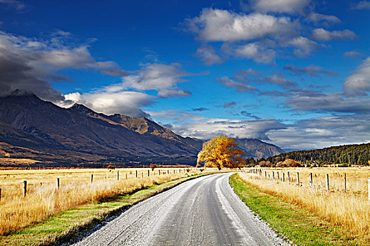 山景,道路,蓝天,奥塔哥,新西兰