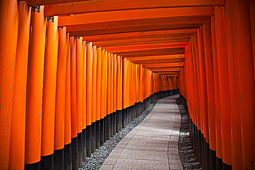 红色,大门,京都,日本