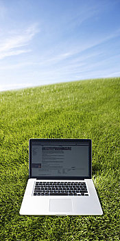 静物,笔记本电脑,草地