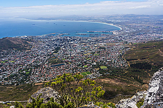 南非,开普敦,风景,桌山