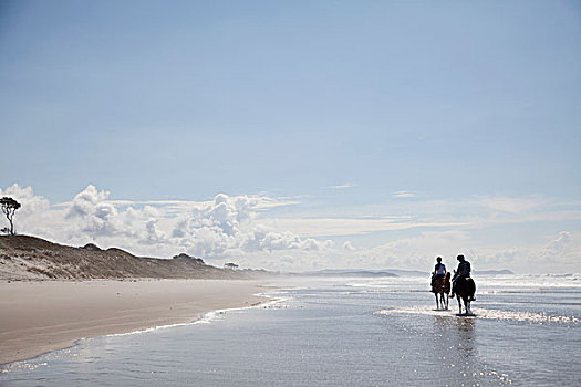 骑马,海滩,奥克兰,新西兰