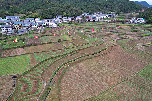 贵州省遵义市汇川区团泽镇蔬菜种植基地及其周边的农舍