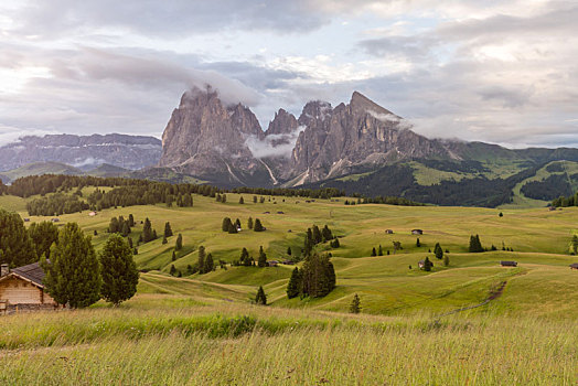 意大利多洛米蒂山脉夏季苏西高原草甸的日出与远处的山峰自然风景
