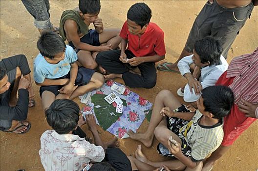 青少年,纸牌,贫民窟,收获,柬埔寨,亚洲