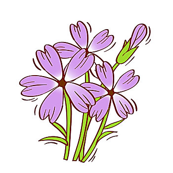 插画,紫花