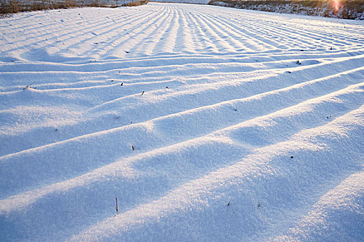 雪景,庙宇,雪,除雪