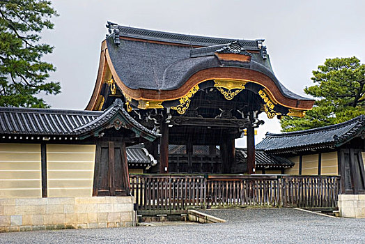 日本寺庙,大门,金色,京都,日本