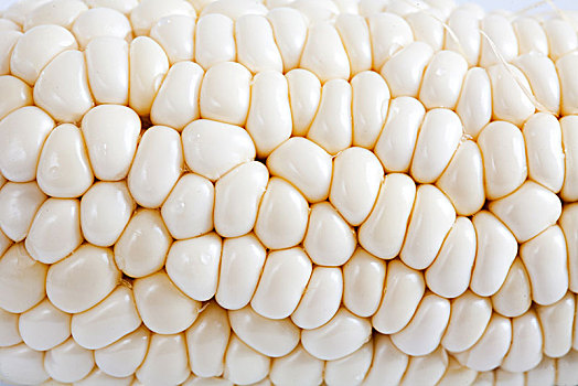 糯玉米,玉米,白色背景