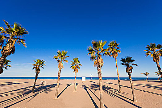 干盐湖,海滩,瓦伦西亚,地中海,西班牙