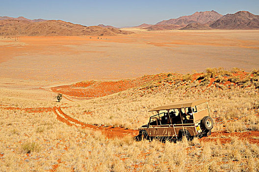 旅游,交通工具,沙丘,住宿,高,草,兰特,自然,自然保护区,纳米布沙漠,纳米比亚,非洲