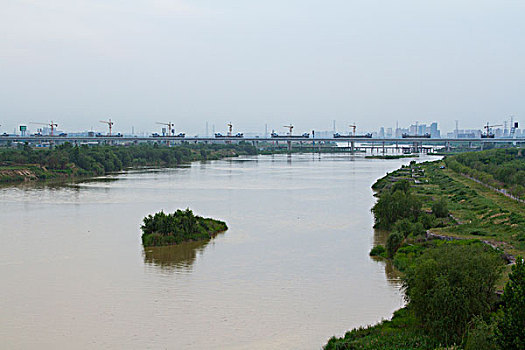 渭河湿地