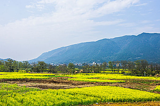 田园风光